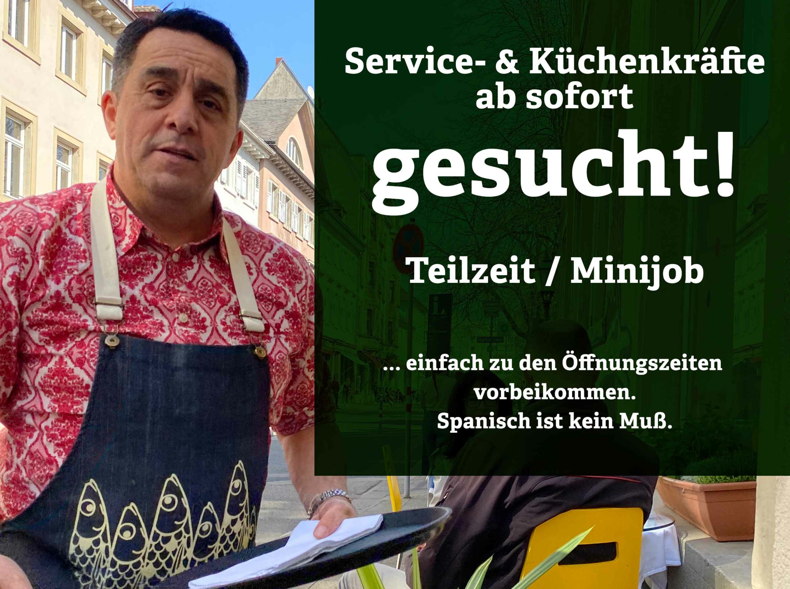 MITARBEITERgesucht
